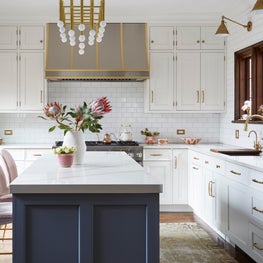 Elmwood {Oak Park Residence}