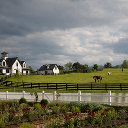 Mount Fair in Charlottesville, VA
