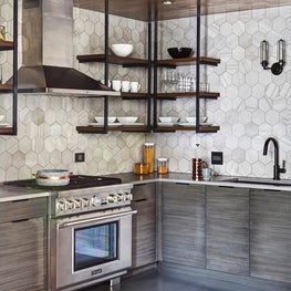 Lincoln Park Condo Kitchen