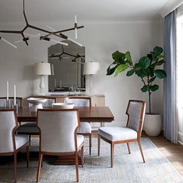 Rice Residence Renovation & Interiors