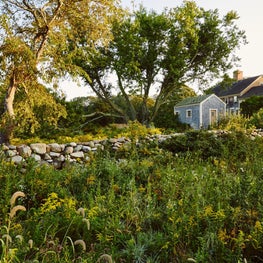A stone wall restoration and new outbuilding