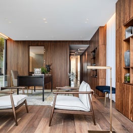 Elegant home office for him