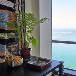 Mies van der Rohe Apartment Living Room Vignette