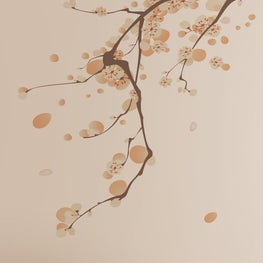  San Francisco Design Center, DWM | MALOOS Show Room