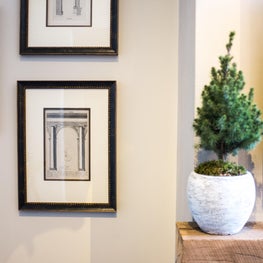 Edge of the mantel and architectural renderings