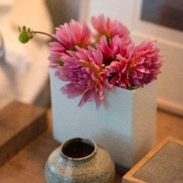 Garden Street Brownstone/Modern Living Room Detail/Vignette