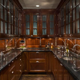 Historic New York City Townhouse Major Renovation - Wet Bar