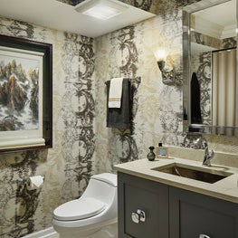 Evanston Guest Bathroom