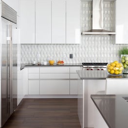 St. Pete's Penthouse Kitchen