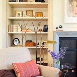 Living room with shelving built-in, fireplace, warm palette