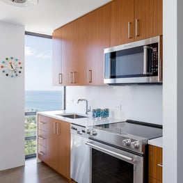 Gold Coast Residence View into Kitchen - East Wall.