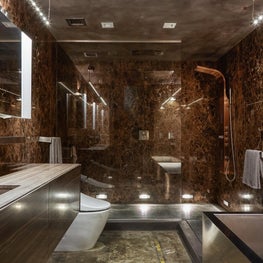 Bronze rainhead shower, Illuminated mirror, lighting details