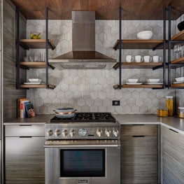 Lincoln Park Condo Kitchen