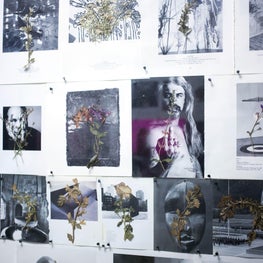 Custom Wallpaper Wall Application for a Denim Washhouse Showroom with Artbooks and Dried Pressed Flowers