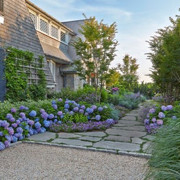 The entry garden is anchored by an informal grove of flowering Crepe Myrtles.