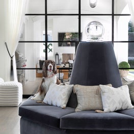 Portfolio: A dog sitting on a round velvet settee in a custom designed Houston home.