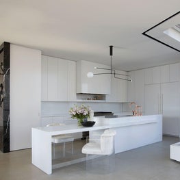 A Modern Kitchen on Chicago's gold Coast has a place for everything