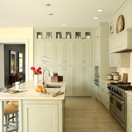 Marietta Residence Kitchen with custom cabinetry
