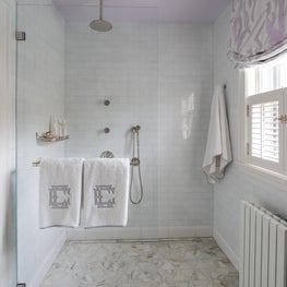 Large Shower with Purple painted Ceiling and Purple Printed Roman