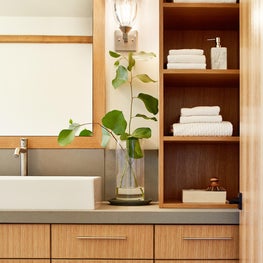 House in the Woods above Silicon Valley