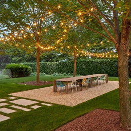 Alfresco dining table beneath a bosque of plane trees and outdoor lighting