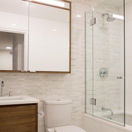 Contemporary Bathroom Vignette