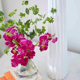 Color impacting the bedroom space