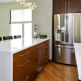 South Loop Town Home