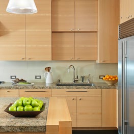 Contemporary Kitchen