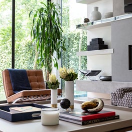 Portfolio: Modern living room with tufted chair and window views