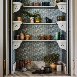 Custom Built-in Shelves