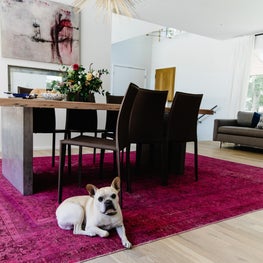 A Dog and An Overdyed Pink Rug 