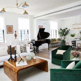 Modern Organic Downtown Manhattan Living Room