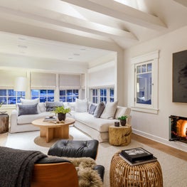 Organic Modern Living Room