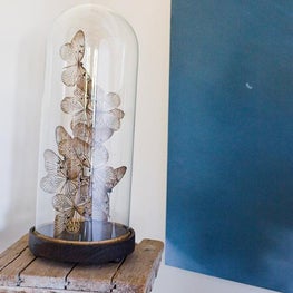 Laguna Beach Hillside