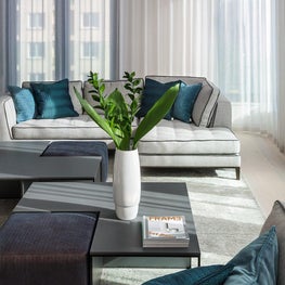 Penthouse on the Park