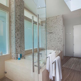 Master Bathroom Shower and Tub