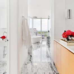 Clean-lined Modern Penthouse Bathroom - White Plains, New York