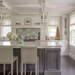 Traditional Harvard Square Kitchen with Coffered Ceiling 