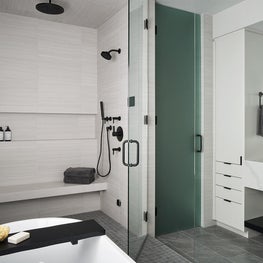 Honore Modern, Primary Bathroom