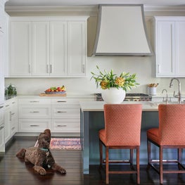 Greenwood Village Kitchen Detail with Dog