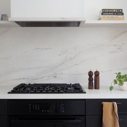 Mission Contemporary Kitchen