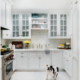 Pacific Heights Traditional | Kitchen