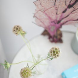 Bohemian Beach House. Details. 