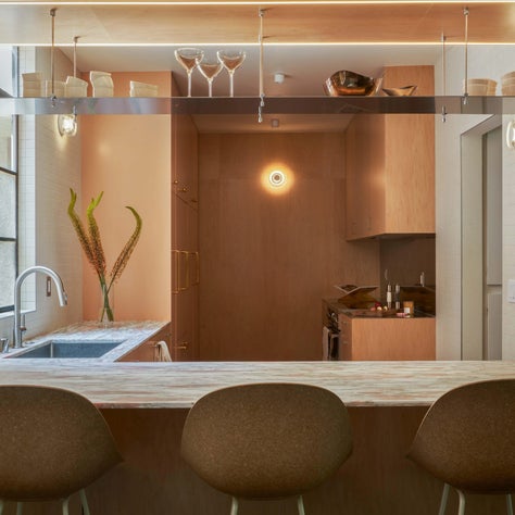 Modern Organic Galley Kitchen