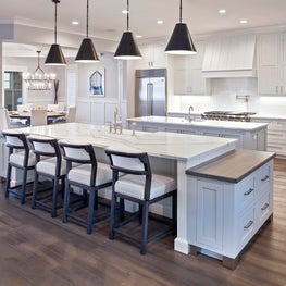 Neutral Transitional Kitchen