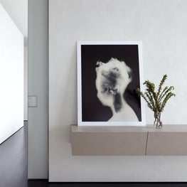 Master Bedroom / Living Space 