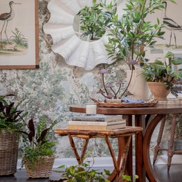 Charlestown, Massachusetts Terrace