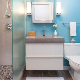 Lincoln Park Apartment