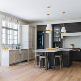 Kitchen Glenview New Construction 
